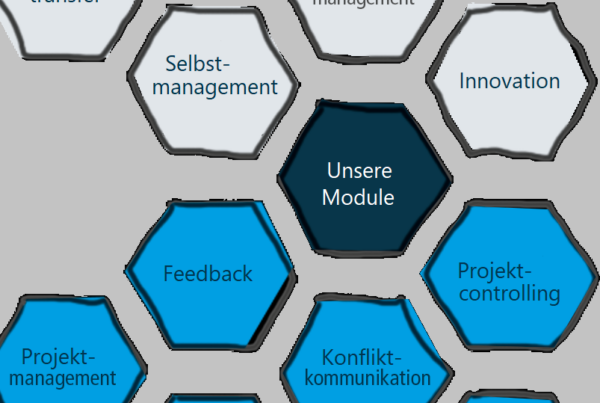 Unsere Module für deine individuell, passgenaue Weiterbildung mit der sbc